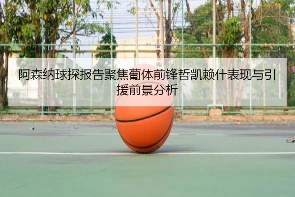 阿森纳球探报告聚焦葡体前锋哲凯赖什表现与引援前景分析