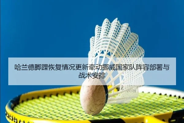 哈兰德脚踝恢复情况更新牵动挪威国家队阵容部署与战术安排