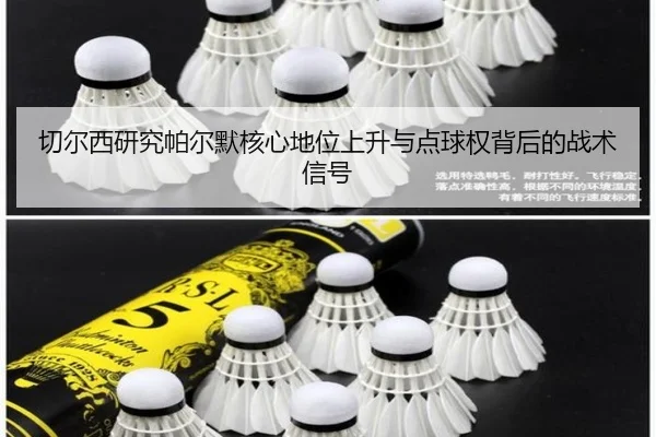 切尔西研究帕尔默核心地位上升与点球权背后的战术信号